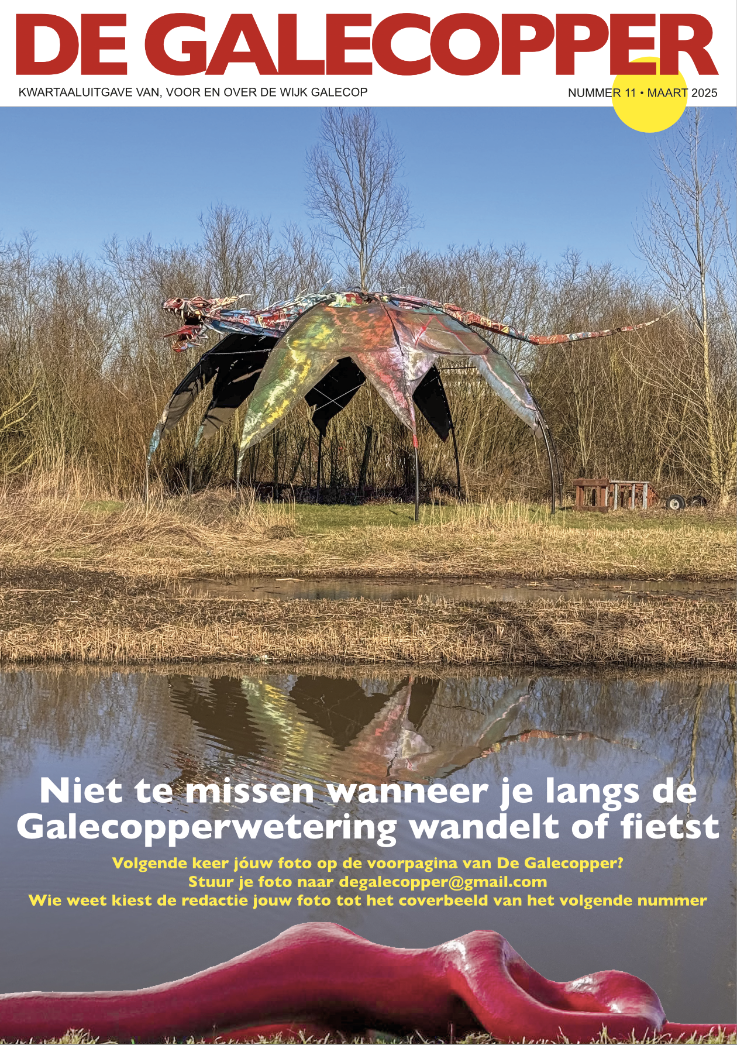 Plaatje voorkant wijkkrant maart 2025