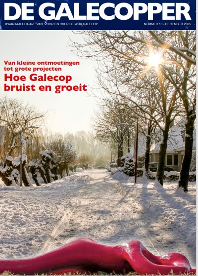 Plaatje voorkant wijkkrant