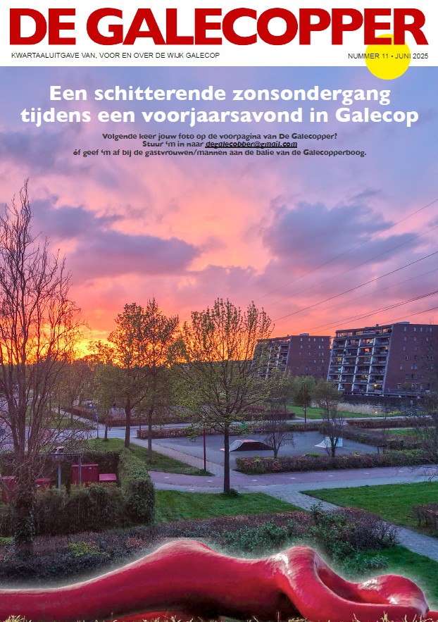 Plaatje voorkant wijkkrant