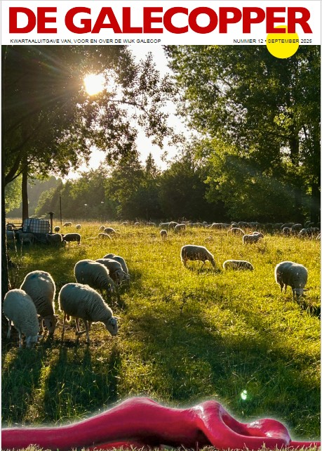 Plaatje voorkant wijkkrant